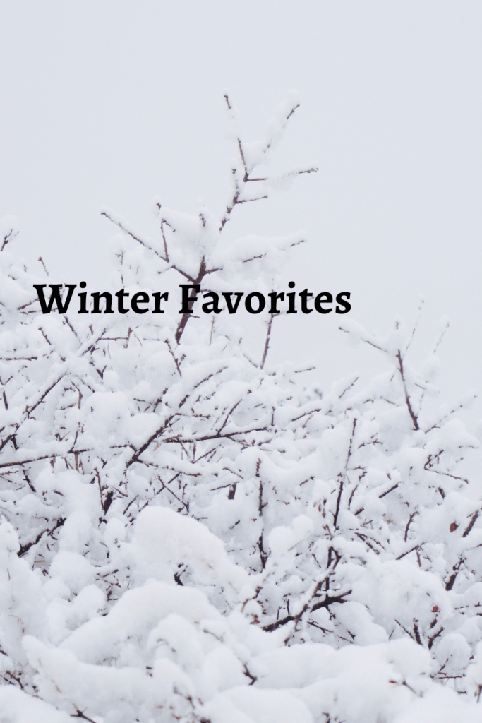 image background shows snow and a winter aesthetic drawing  text reads winter favorites