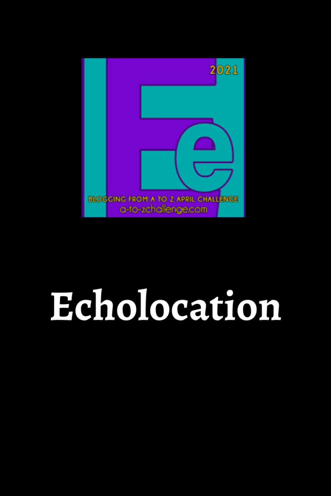 The blogging from a to Z April Challenge letter e is on the top center. Text below reads echolocation