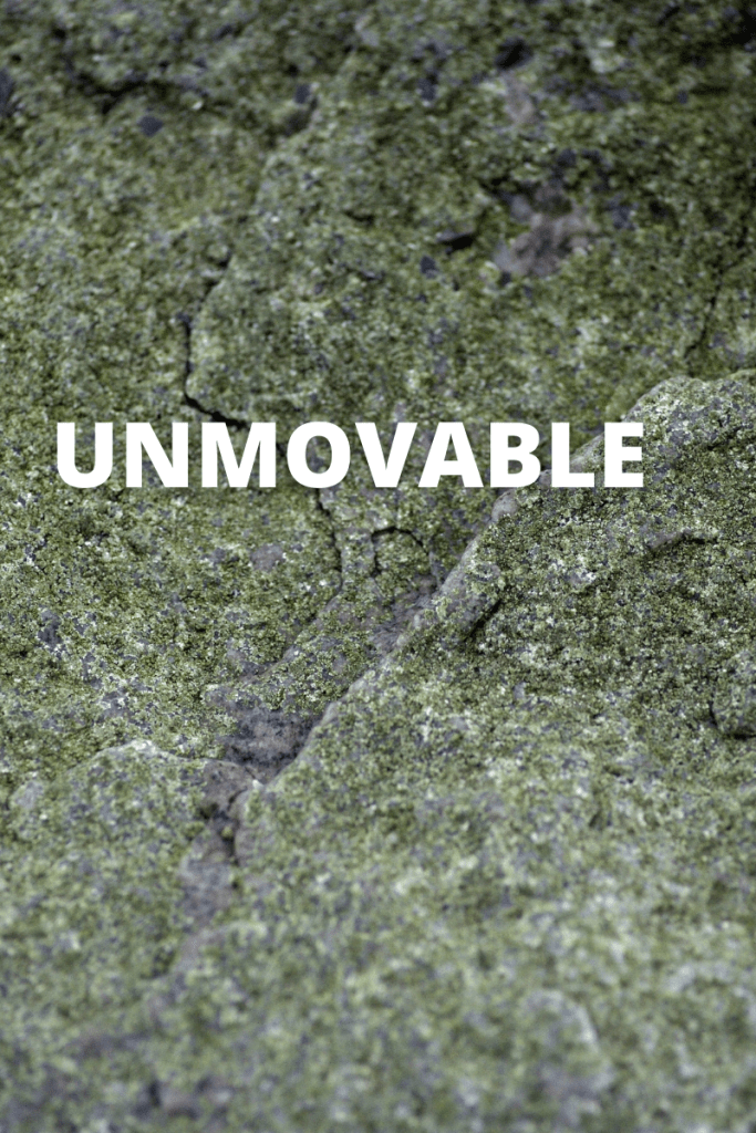 The word unmovable appears in white on a background that has a grey stone pattern