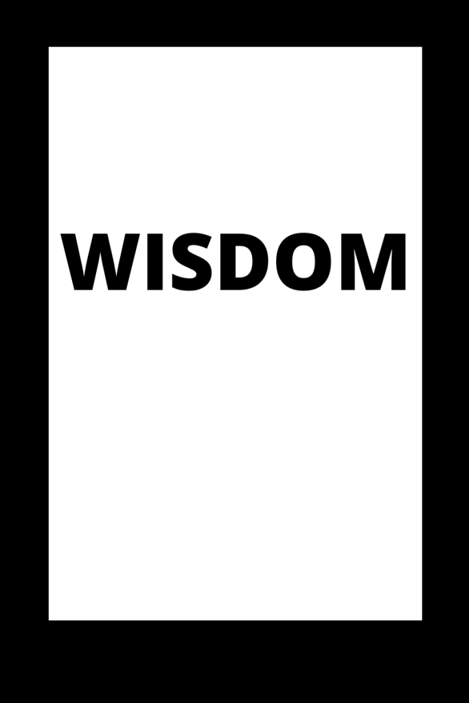 The word wisdom appears in black on a white background with a black border.
